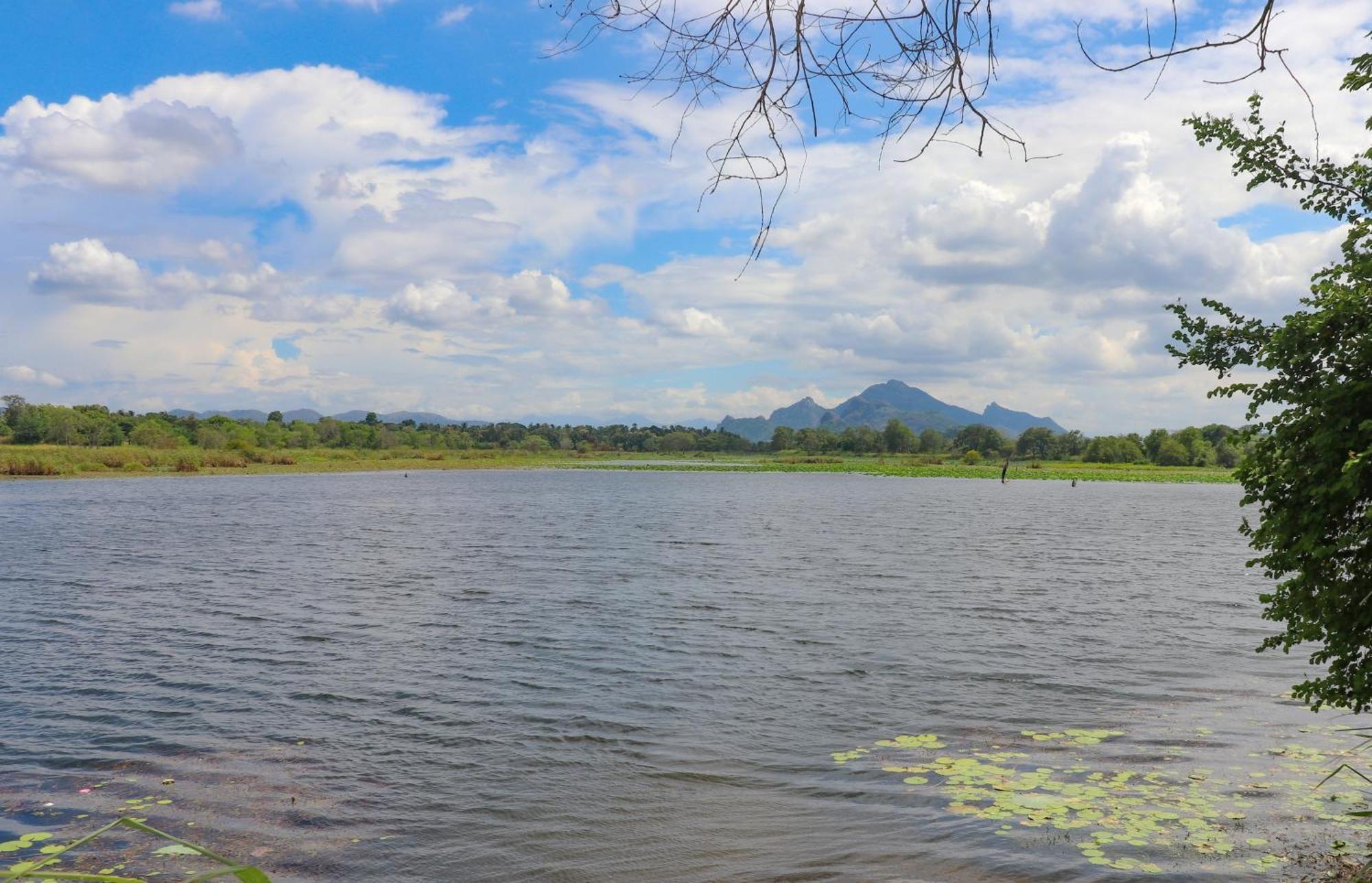 Bungalow Resort - Sigiriya Exteriör bild