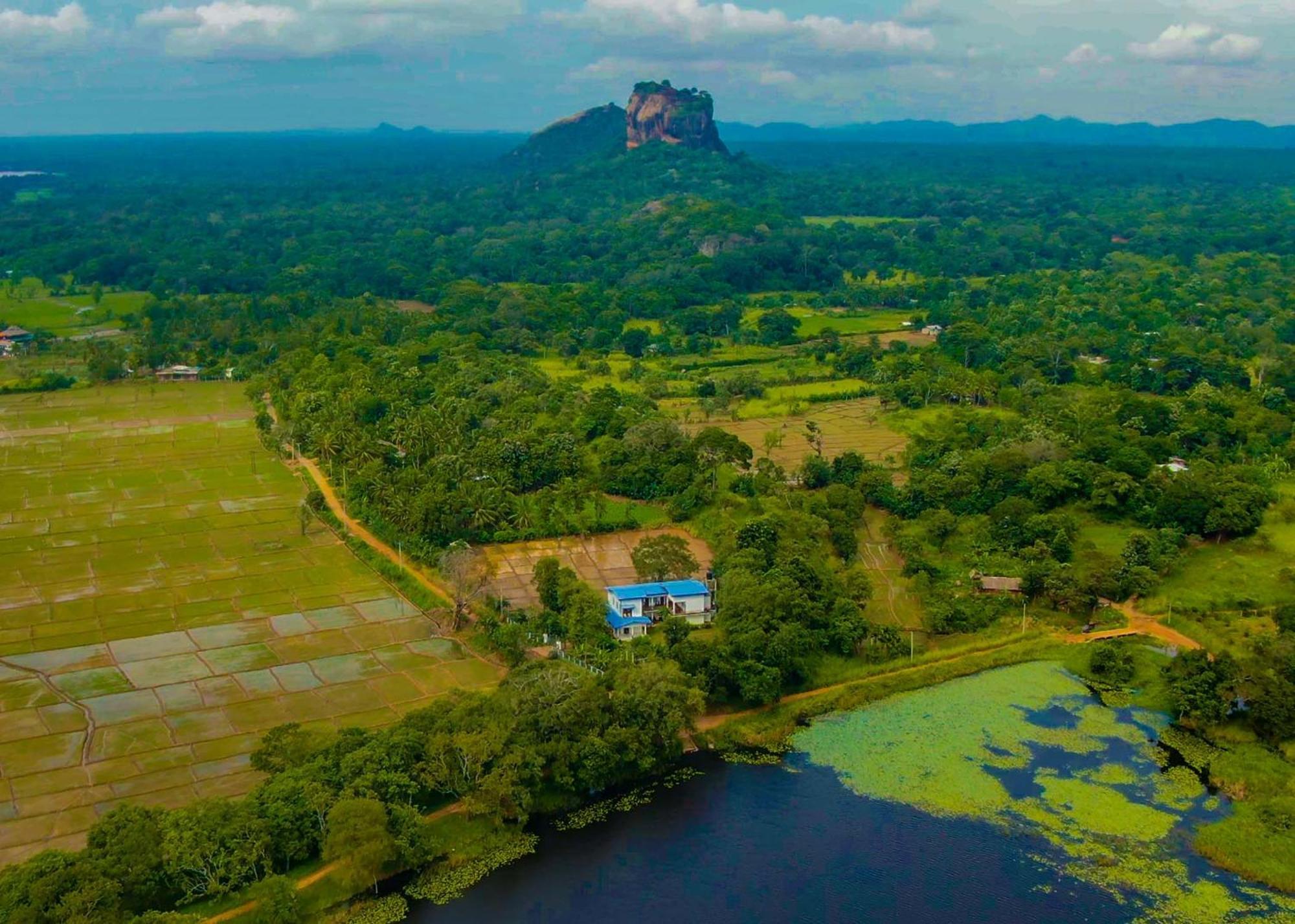 Bungalow Resort - Sigiriya Exteriör bild