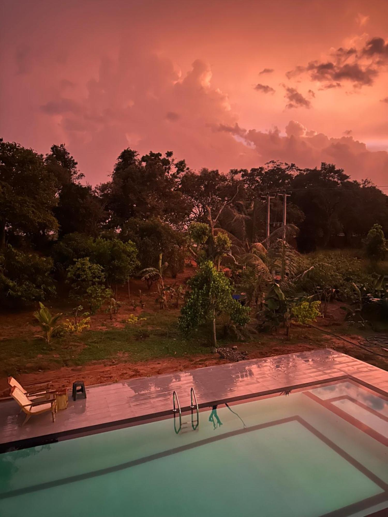Bungalow Resort - Sigiriya Exteriör bild