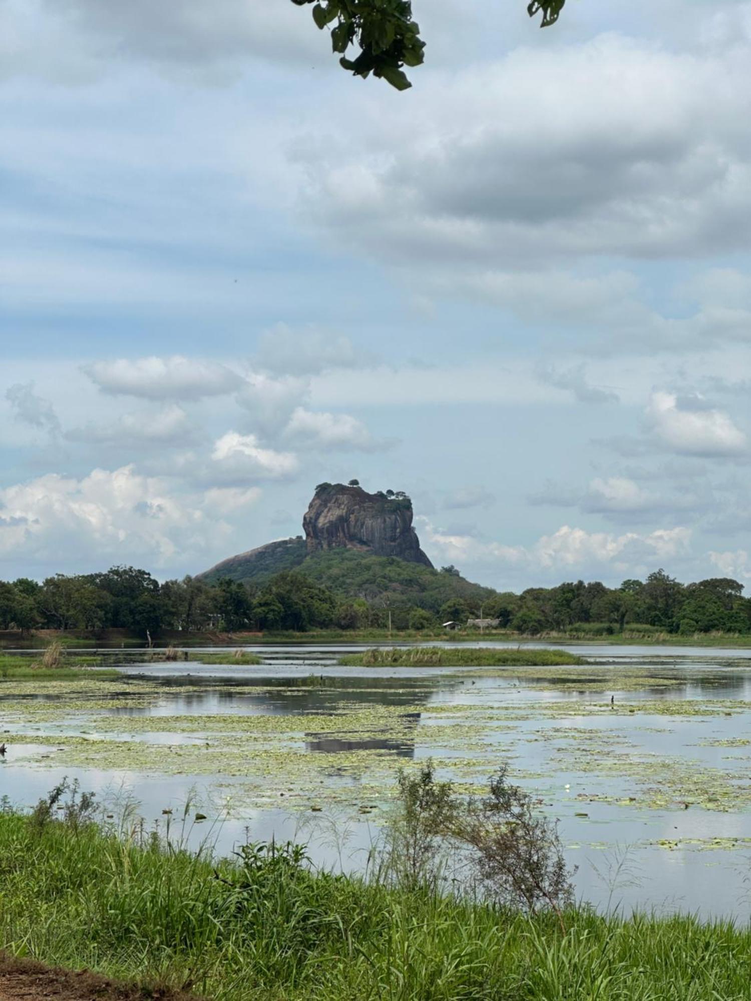 Bungalow Resort - Sigiriya Exteriör bild